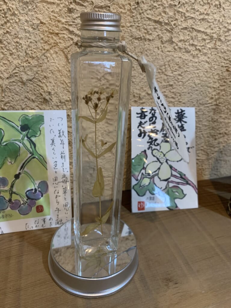 medicinal herb sample in glass jar from Hida Takayama
