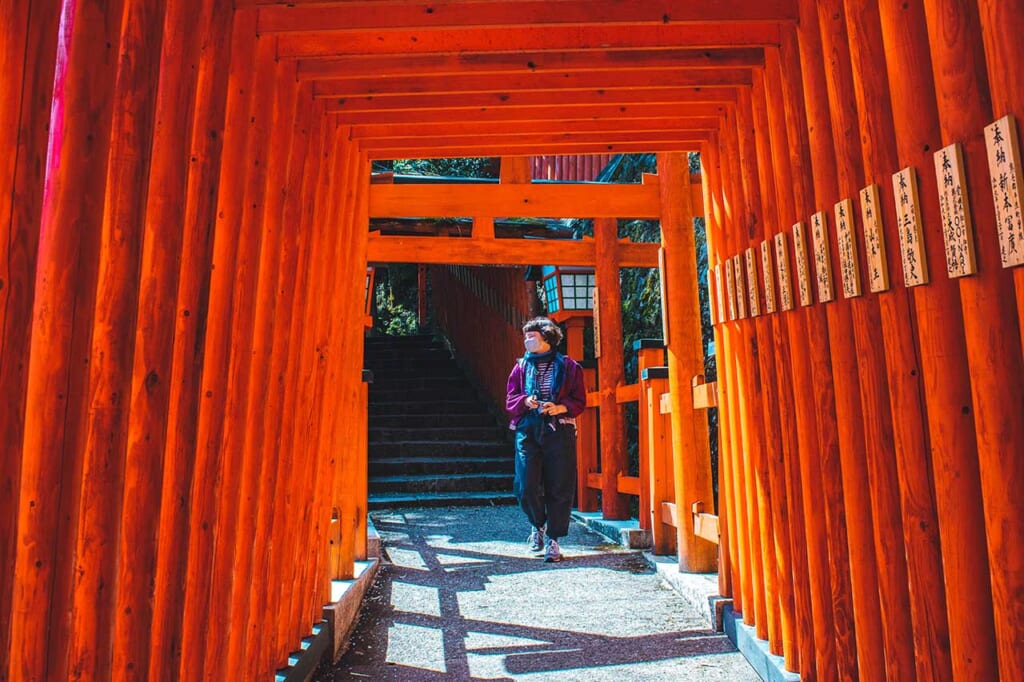 Looking through the Torii gates