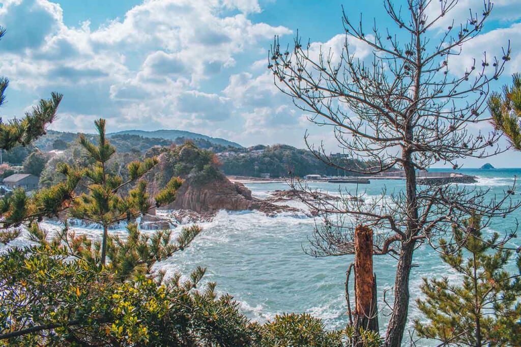 View of the JApanese coastline through the trees