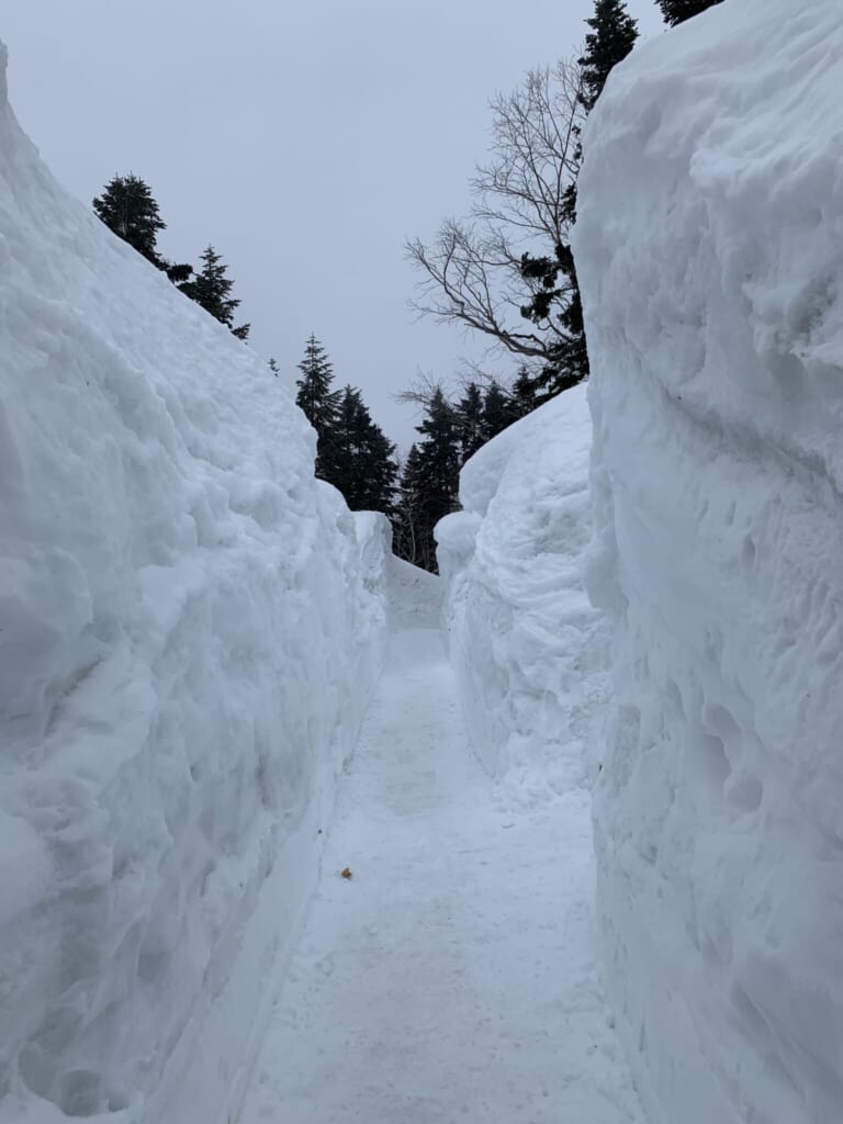 walking path through walls of snow