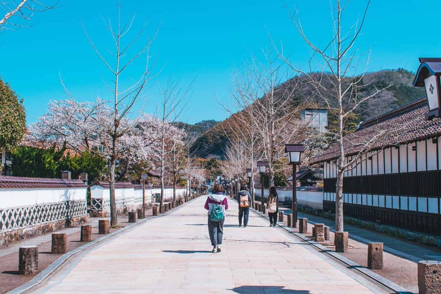 Tsuwano: Discover Real Japan in the Iwami Region