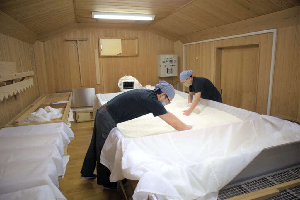 Japanese workers mixing koji by hand in a sealed room in sake brewery