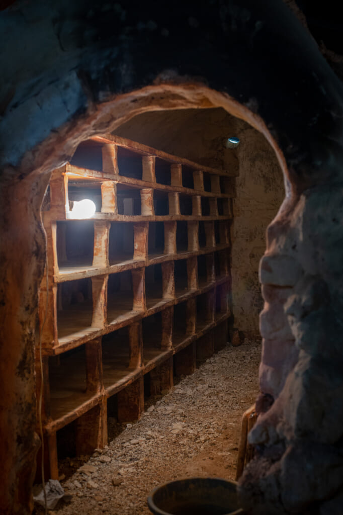 one of the chambers of the Japanese  climbing kiln in Okinawa