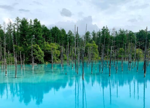 The Most Beautiful National Parks to Visit in Eastern Hokkaido