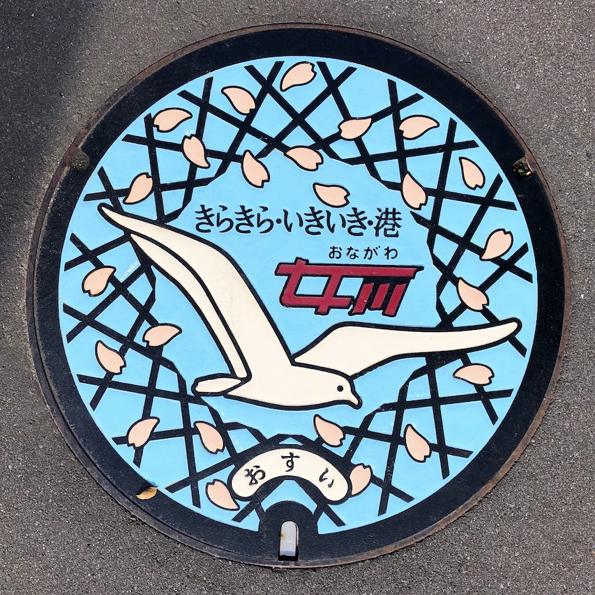 Japanese manhole cover art with seagull in Japan