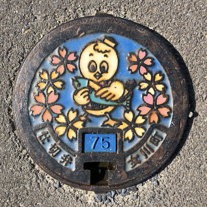Japanese Manhole cover design with chick holding fish in Japan