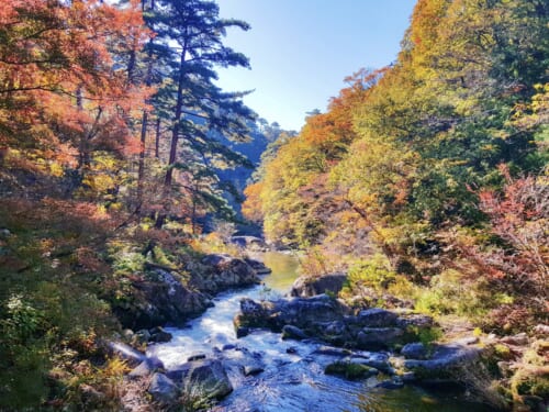 Kofu City and Shosenkyo Valley: A Journey in the Mountains of Yamanashi Prefecture