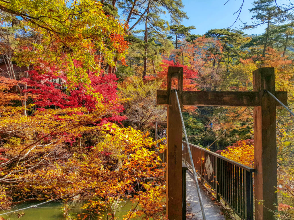 Bridge of Love with autumn kouyo colors in Japan