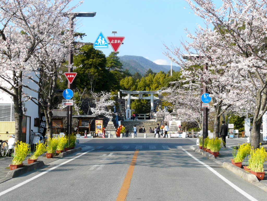 Takeda shrine with lovely sakura cherry blossoms during spring in Japan