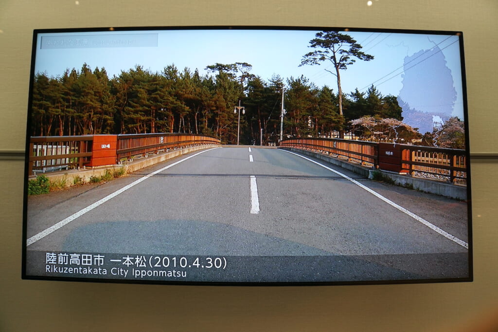 Japanese forest before the 2011 tsunami