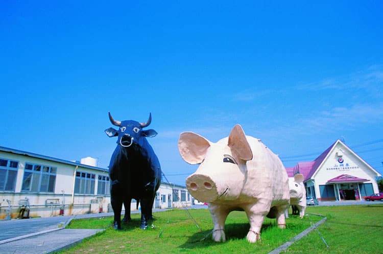 a pig and a cow statues in okiham company in Japan