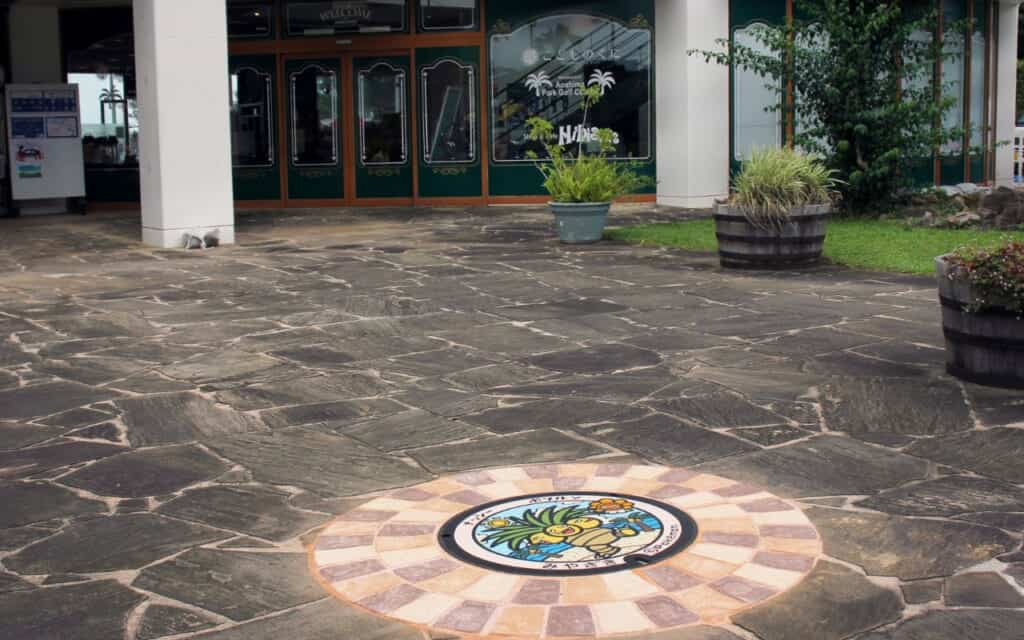 PokeFuta - Pokemon Manhole cover in Miyazaki