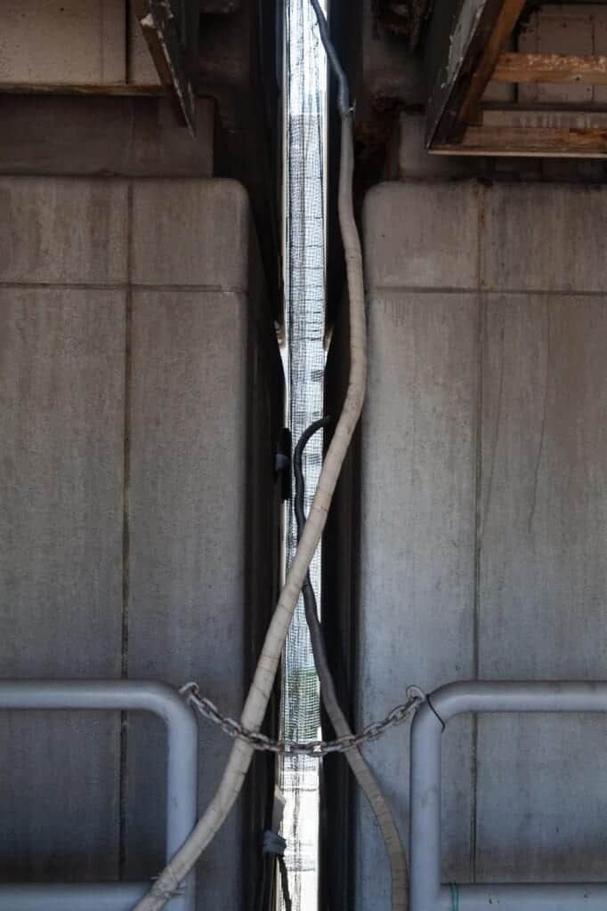 Distance between capsules