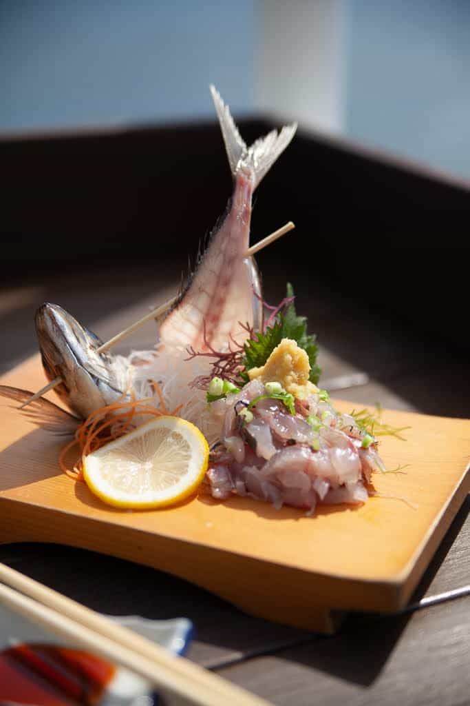 horse mackerel sashimi in Japan