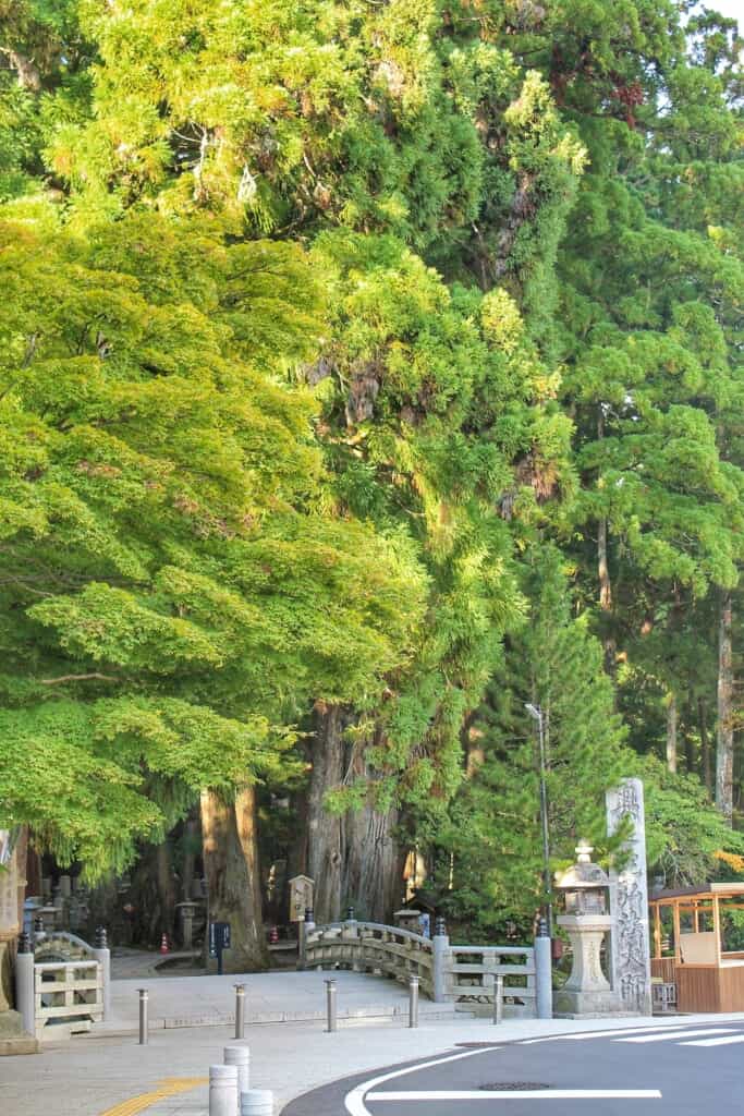 Entrance to the Okunoin cemetery on Mt. Koya