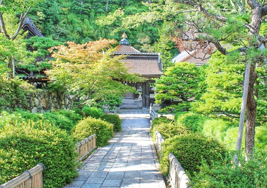 A view of a temple's entrance surrounded by greenery