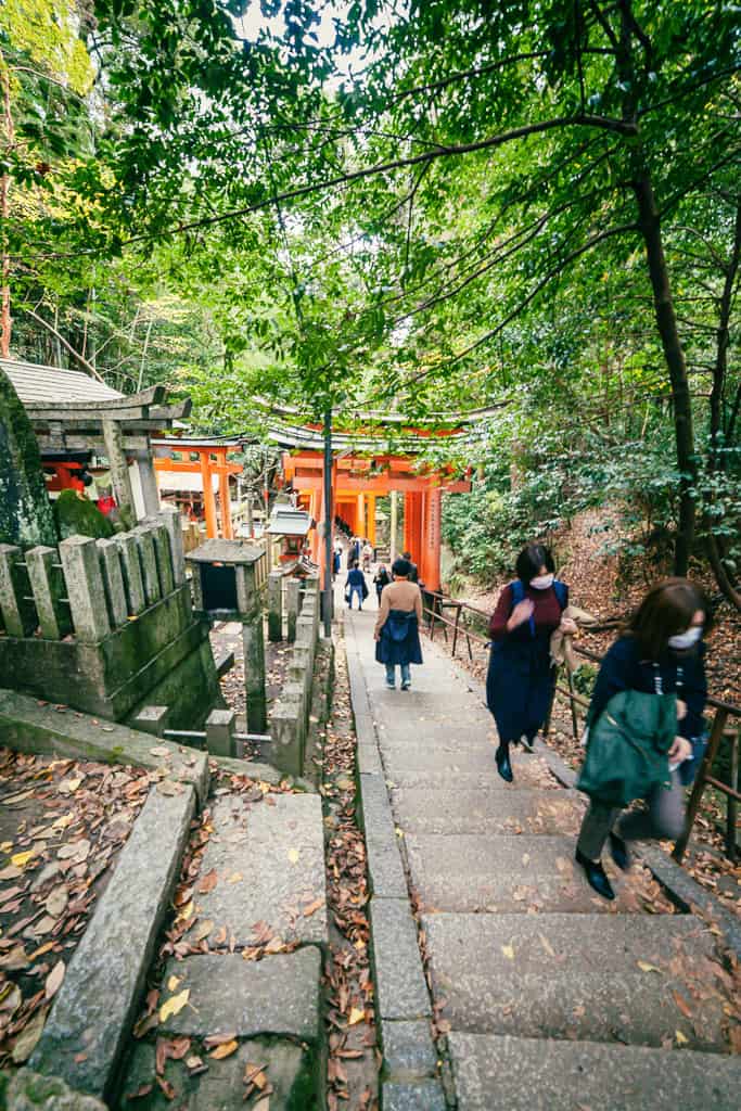 walkway down Japanese torii gates at Fushimi Inari Shrine