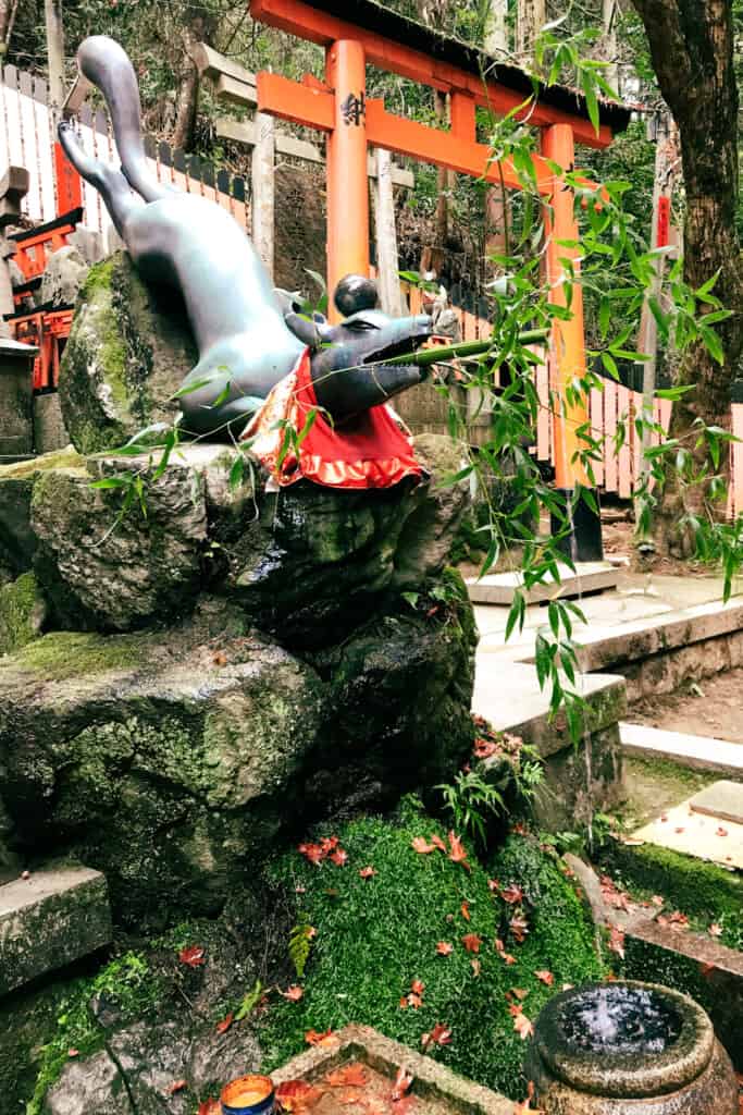 poses fox statue at fushimi inari shrine