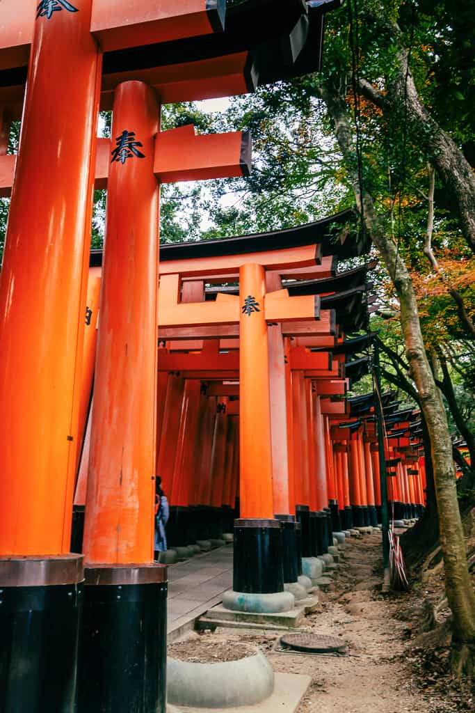 traditional red torii gates in a row in Kyoto