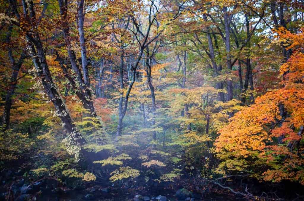 Autumn colors at Aoni Onsen, Japan