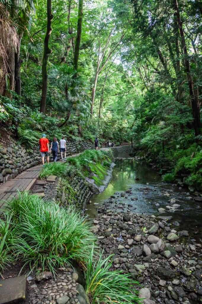 parks to walk in Tokyo,  Road in Todoroki Valley