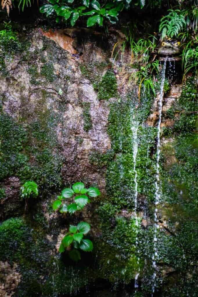 Dragon's head from which spring water emanates