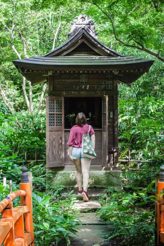 Visitor of the Todoroki Valley in Tokyo