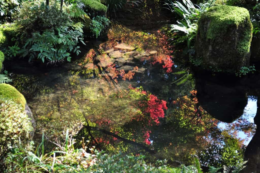 Momiji's reflection at Sanzen-in Temple, Ohara