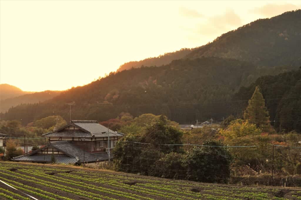The day is already setting on the small village of Ohara