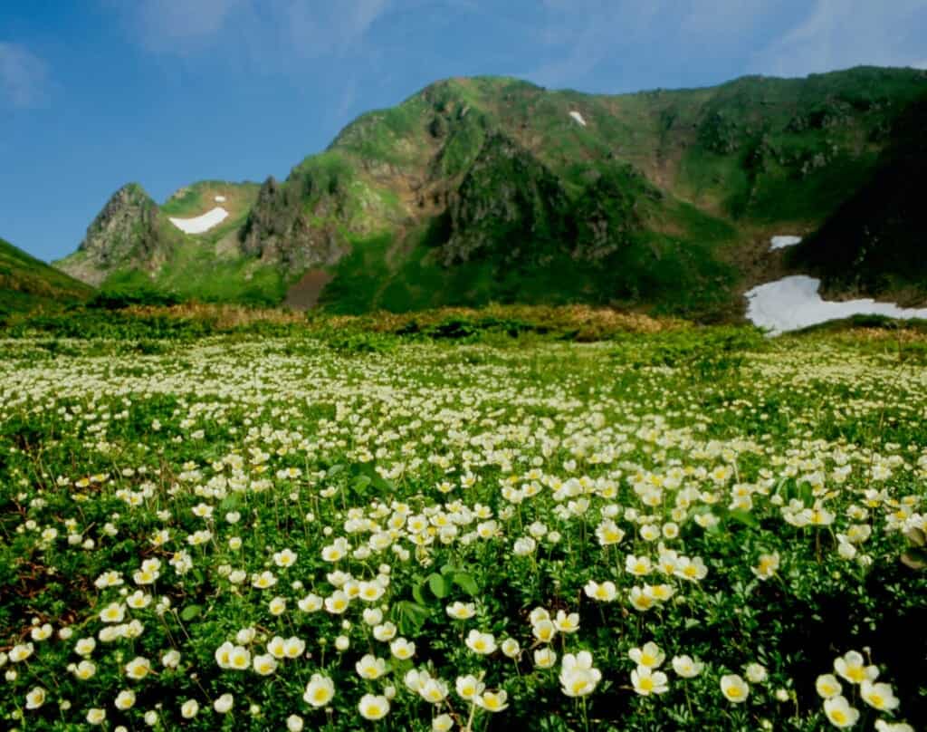 Mt. Akita-Komagatake in Akita in summer while hiking in Japan