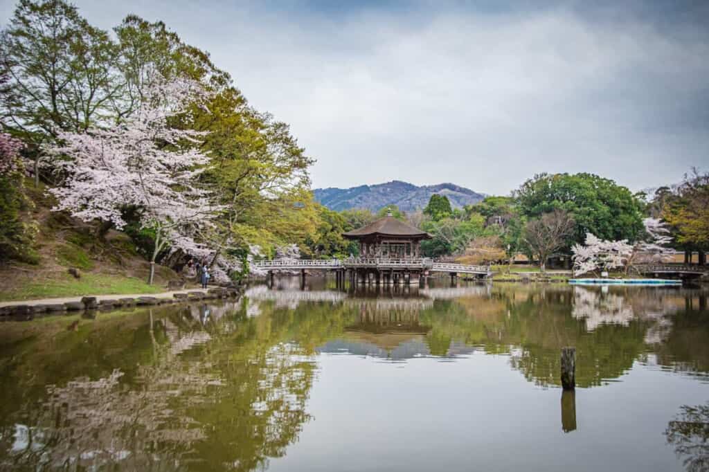 general view of the ukimido pavilion
