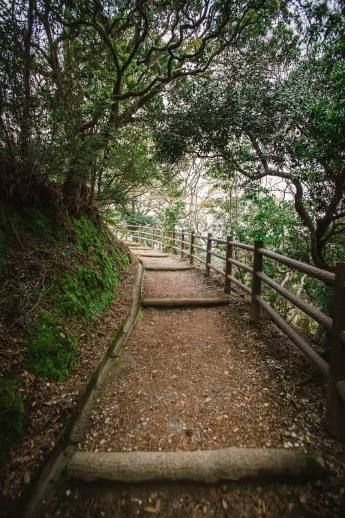 green route on mount wakakusa