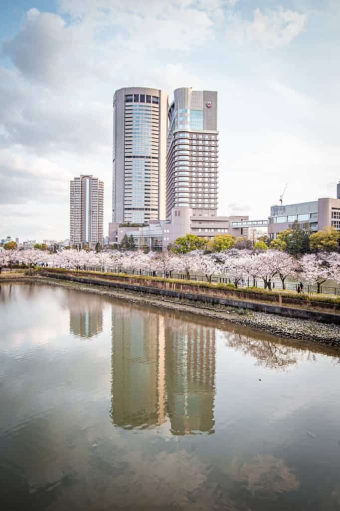 skyscrapers and cherry blossoms reflected in okawa river, osaka
