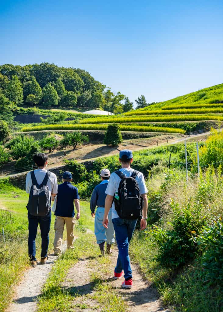 walking on pathway through terraced rice fields