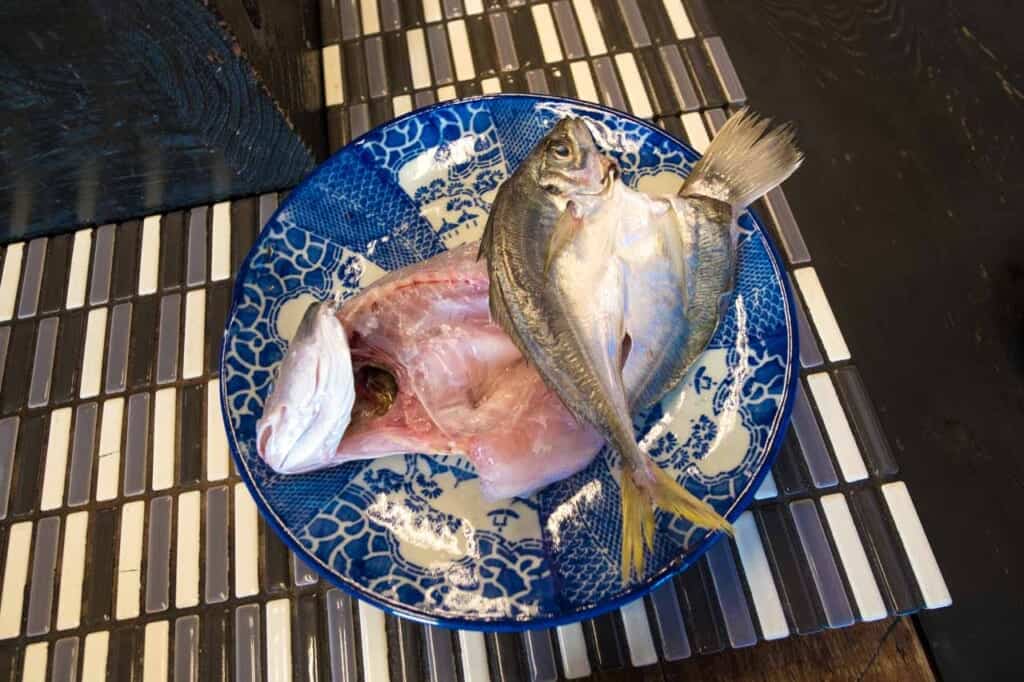 Japanese fish meal near Amanohashidate