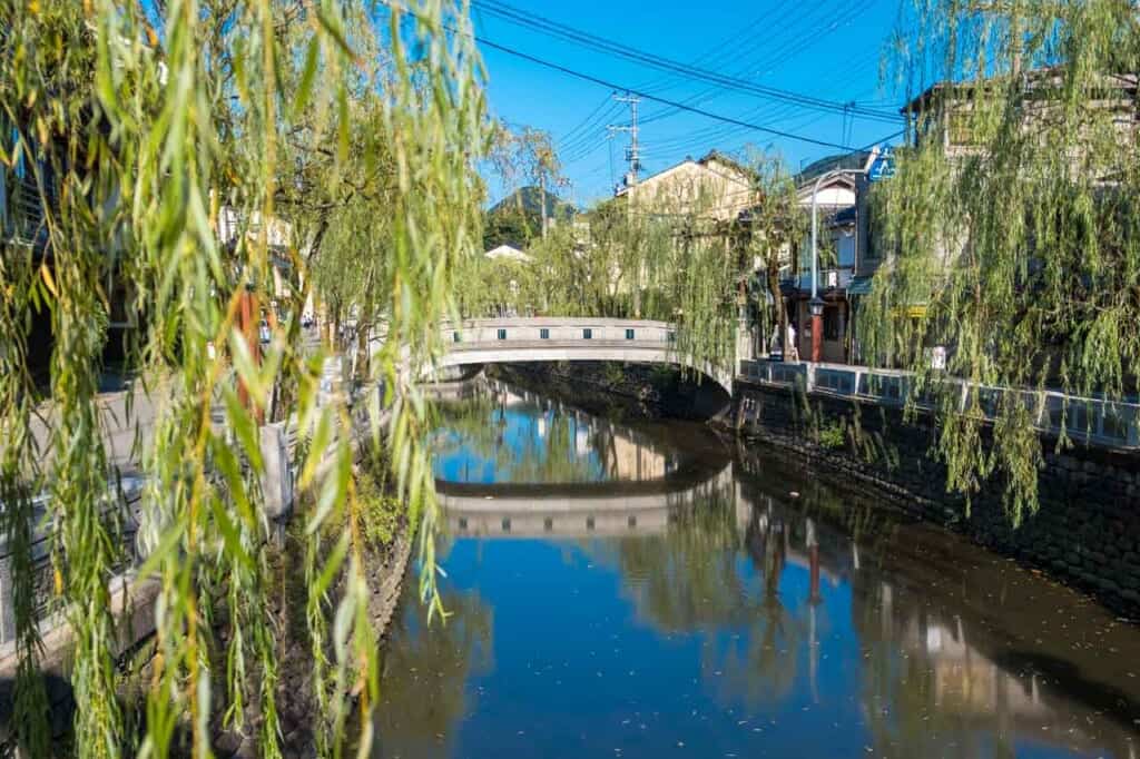 Kinosaki onsen canal and willow trees