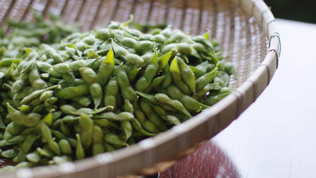 edamame beans in Japan
