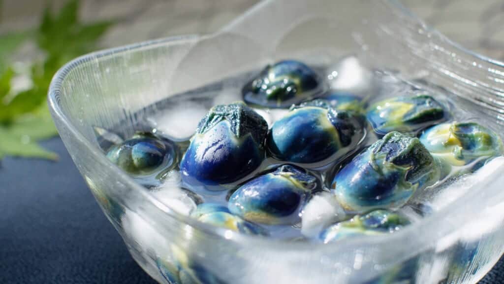 eggplant heirloom vegetables in Tsuruoka, a UNESCO Creative City of Gastronomy in Japan