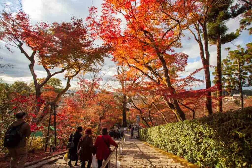 Enkaido Temple stairs surrounded by autumn leaves