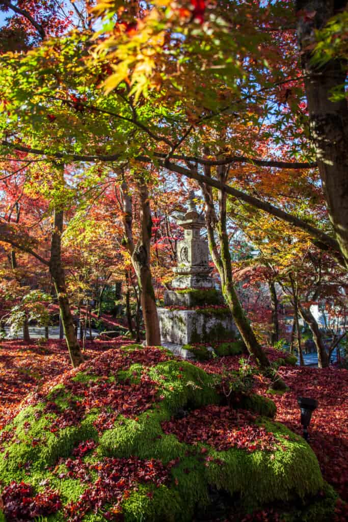 Autumn leaves Gardens surrounding Eikando Temple in Japan