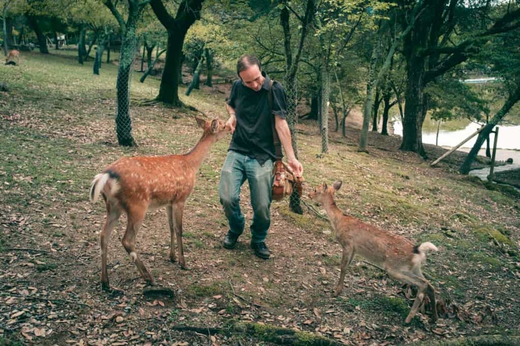 a man feeding two deer in Nara Park, Japan