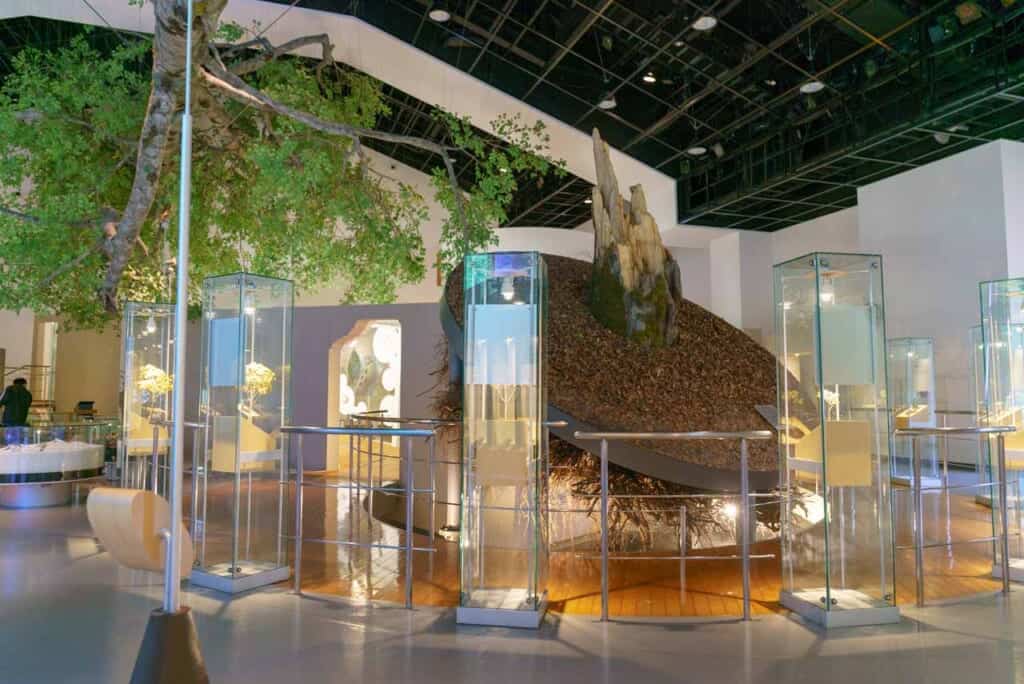 Shirakami Sanchi Visitor Center in Japan