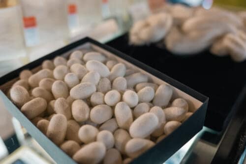 How Tomioka City Brought European Fame to Japan in the 19th Century