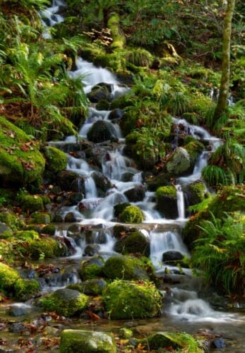 Waterfall in Oirase Gorge