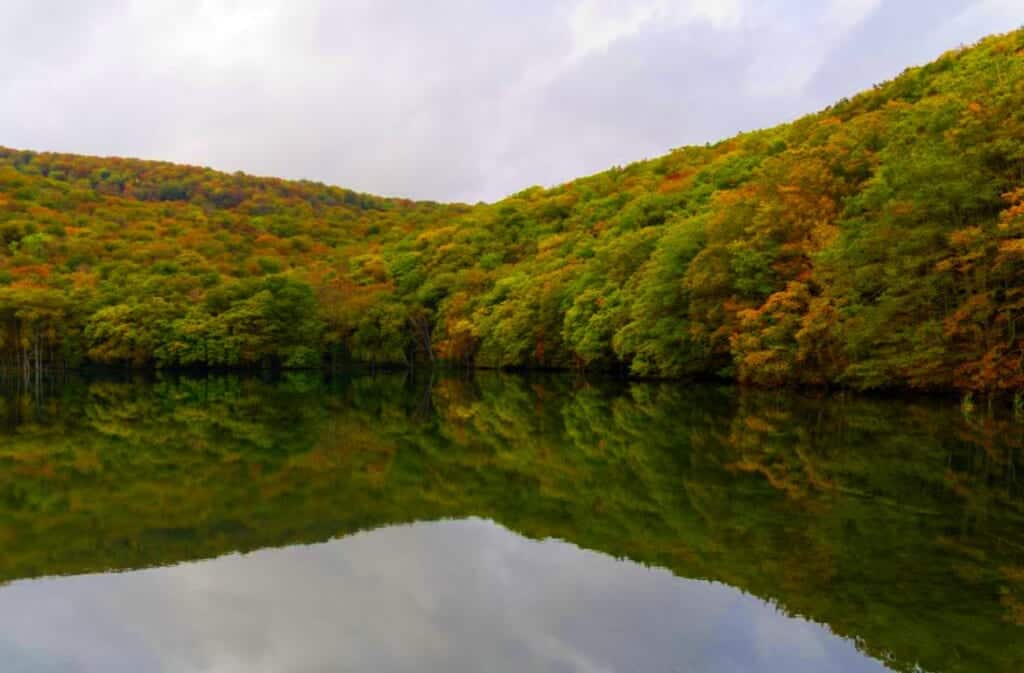 Tsutanuma Swamp view in Towada, Aomori