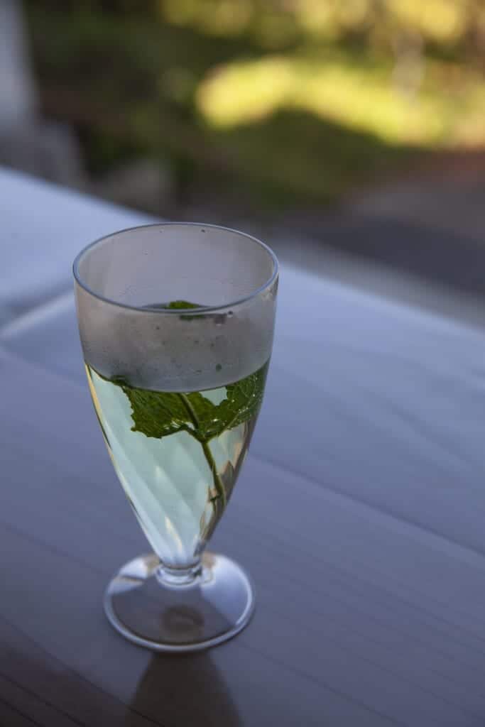 Mint tea at Oumi no Sato's Rich Fruits Cafe
