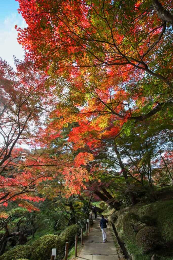 Women walking in Nihonmatsu Castle Park, Japan