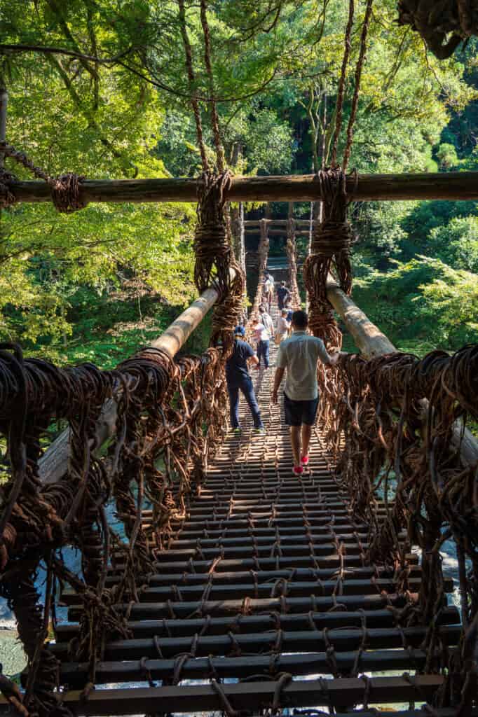 vine bridge in shikoku