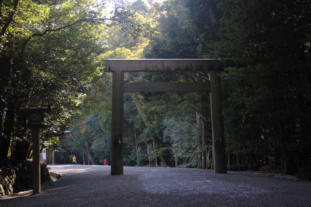 a wooden torī surrounded by the tall cedar trees of the Naiku shrine park at Ise Jingu