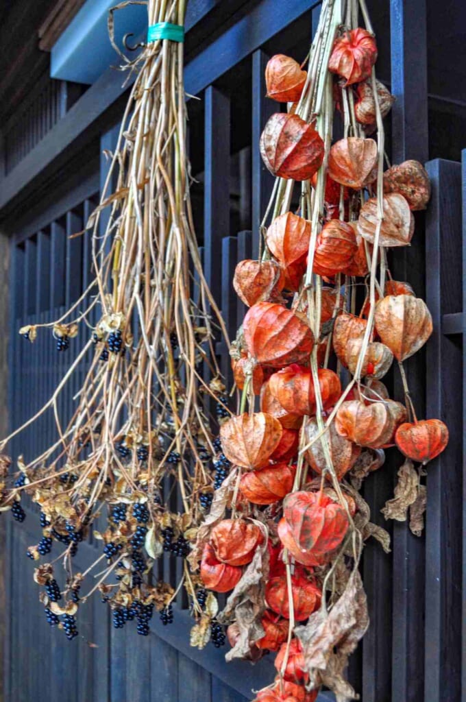 Dry fruits in Tsumago